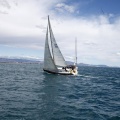 II Jubilata´s Cup