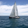 II Jubilata´s Cup