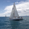 II Jubilata´s Cup