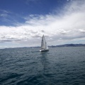 II Jubilata´s Cup
