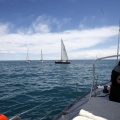 II Jubilata´s Cup