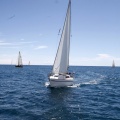 II Jubilata´s Cup