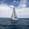 II Jubilata´s Cup