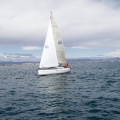 II Jubilata´s Cup
