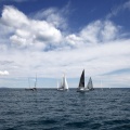II Jubilata´s Cup