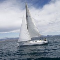 II Jubilata´s Cup