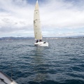 II Jubilata´s Cup