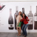 Castellón, Inauguración de Vinnum