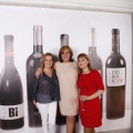 Castellón, Inauguración de Vinnum