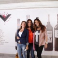 Castellón, Inauguración de Vinnum