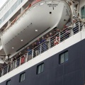 Castellón, El crucero Prinsendam