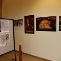 Castellón, Castelló Negre 2012