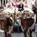 Castellón, Cabalgata infantil anunciadora de las fiestas en honor de la Virgen del Lledó