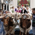 Castellón, Cabalgata infantil anunciadora de las fiestas en honor de la Virgen del Lledó