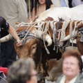 Castellón, Cabalgata infantil anunciadora de las fiestas en honor de la Virgen del Lledó