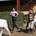 Poni Club, hipoterapia
