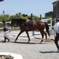 CLUB HÍPICO MEDITERRÁNEO
