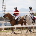 CLUB HÍPICO MEDITERRÁNEO