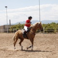 CLUB HÍPICO MEDITERRÁNEO