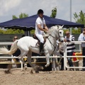 CLUB HÍPICO MEDITERRÁNEO
