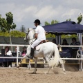 CLUB HÍPICO MEDITERRÁNEO