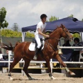 CLUB HÍPICO MEDITERRÁNEO
