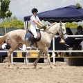 CLUB HÍPICO MEDITERRÁNEO