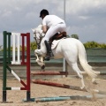CLUB HÍPICO MEDITERRÁNEO