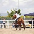 CLUB HÍPICO MEDITERRÁNEO