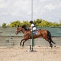 CLUB HÍPICO MEDITERRÁNEO
