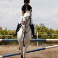 CLUB HÍPICO MEDITERRÁNEO