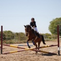 CLUB HÍPICO MEDITERRÁNEO