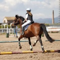 CLUB HÍPICO MEDITERRÁNEO