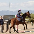 CLUB HÍPICO MEDITERRÁNEO