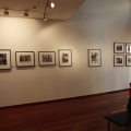Castellón, Fotografía 2012