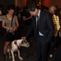 Castellón, Nit de l´Art 2012
