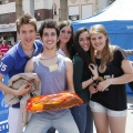 Festisol