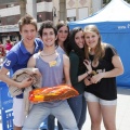 Festisol