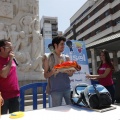 Festisol