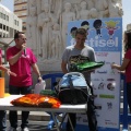Festisol