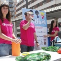 Festisol