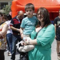 Festisol