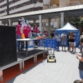 Festisol