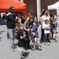 Festisol