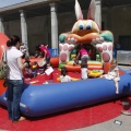 Festisol