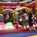 Festisol