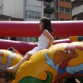 Festisol