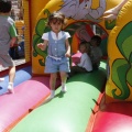 Festisol