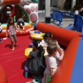 Festisol
