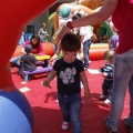 Festisol